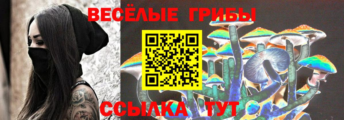 Гусиноозёрск  Псилоцибиновые грибы ЛСД  Вход с VPN  Псилоцибиновые грибы ЛСД 